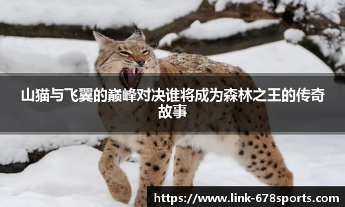 678体育登录入口